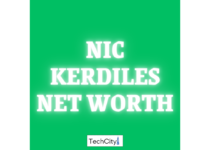 Nic Kerdiles Net Worth