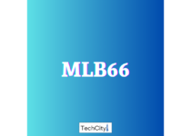 mlb66